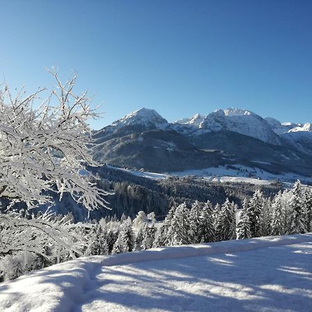 Lammerauhof Abtenau Bagian luar foto