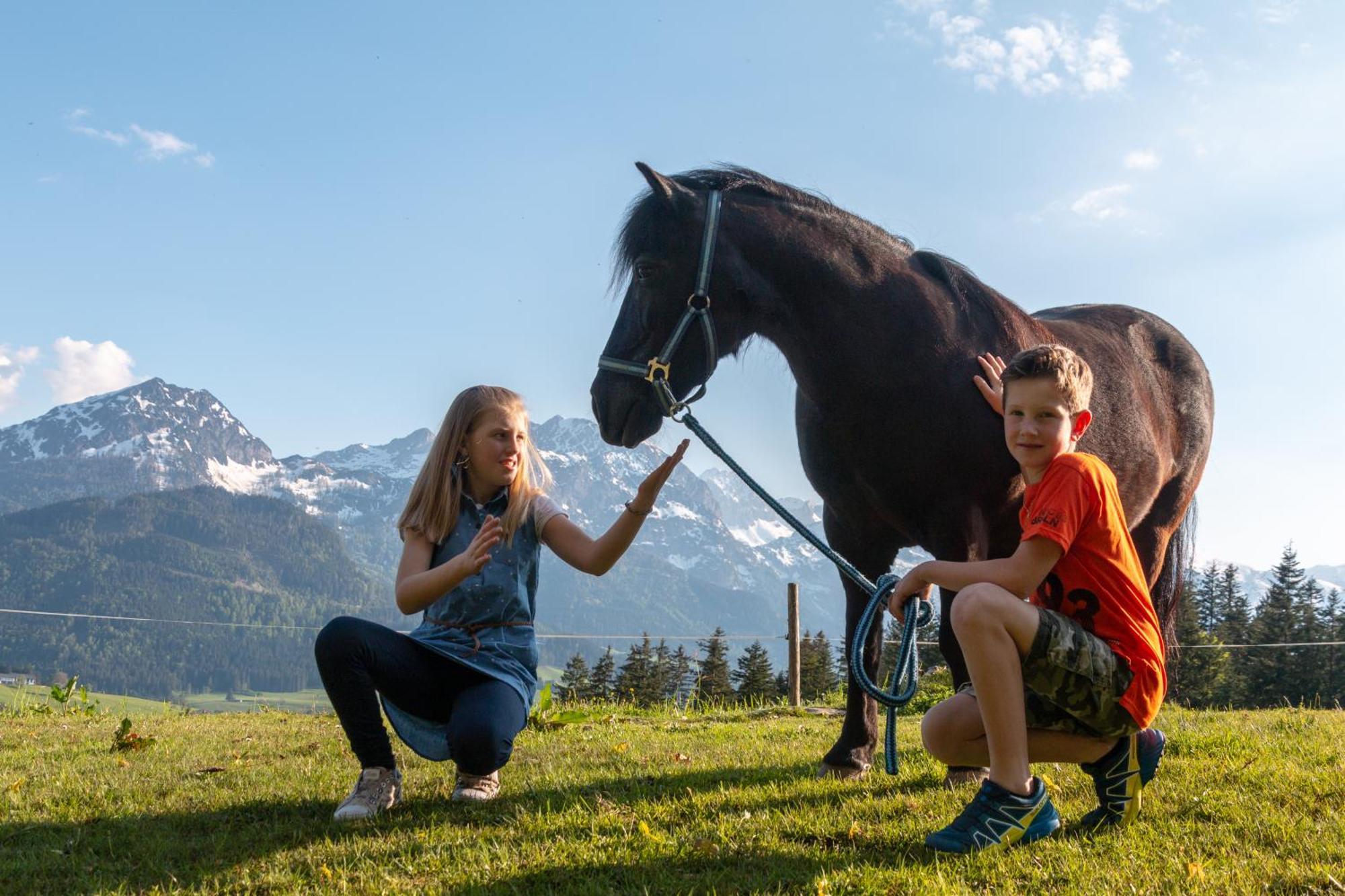 Lammerauhof Abtenau Bagian luar foto