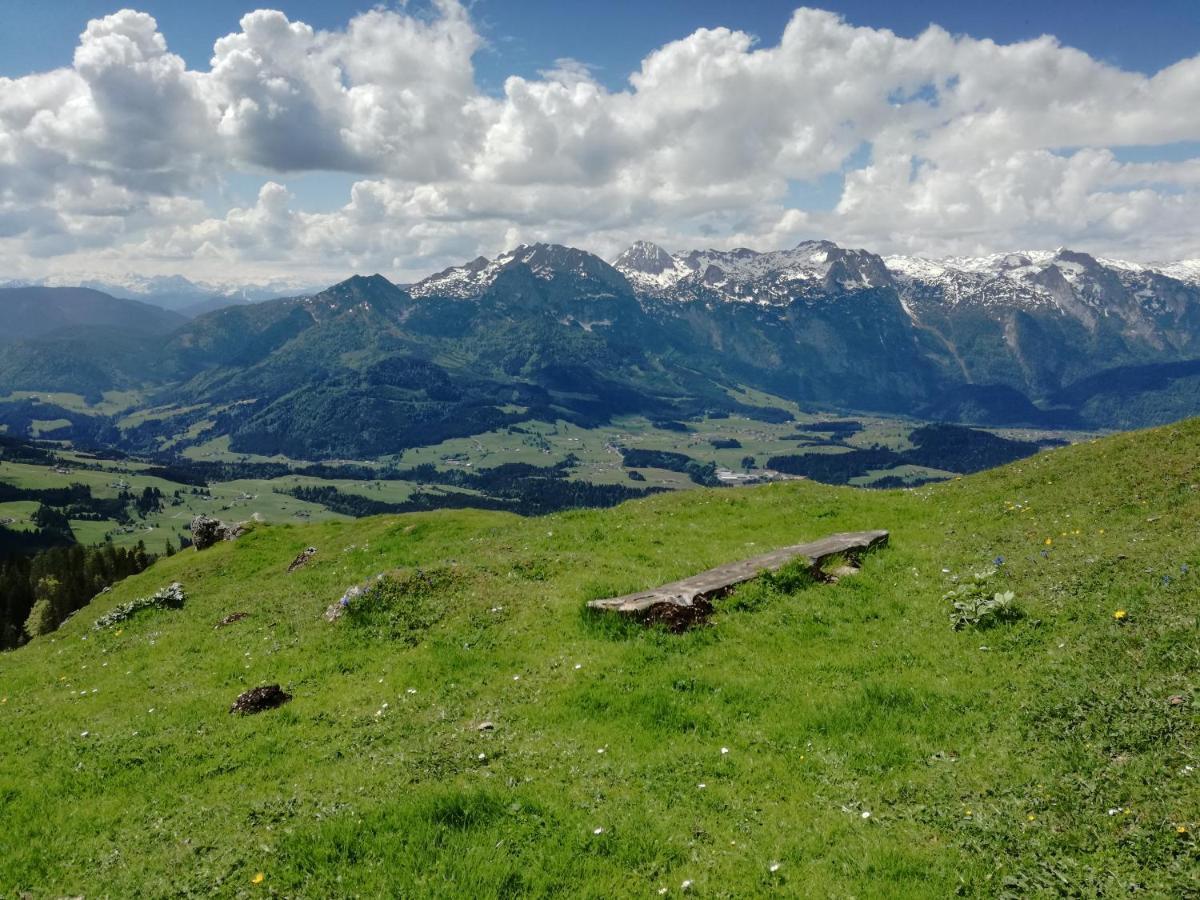 Lammerauhof Abtenau Bagian luar foto