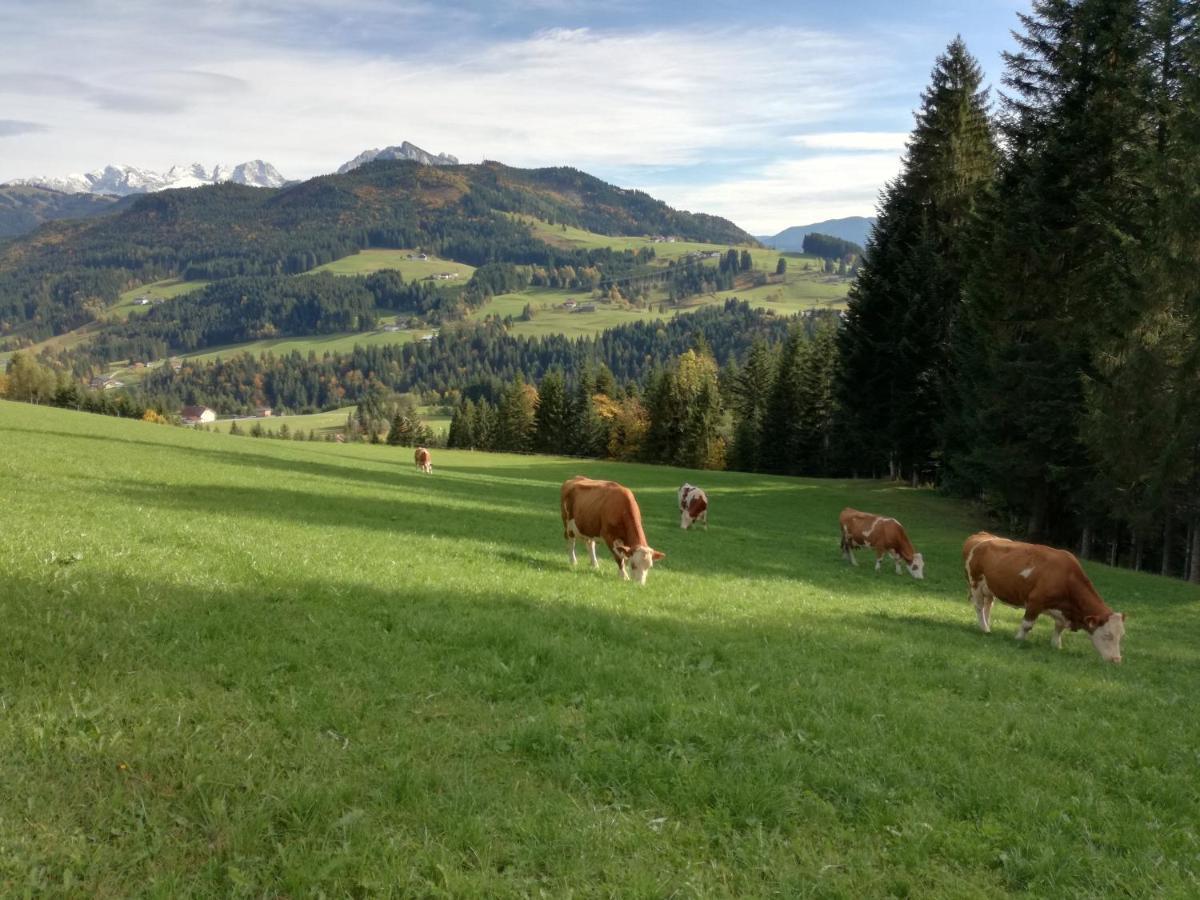 Lammerauhof Abtenau Bagian luar foto