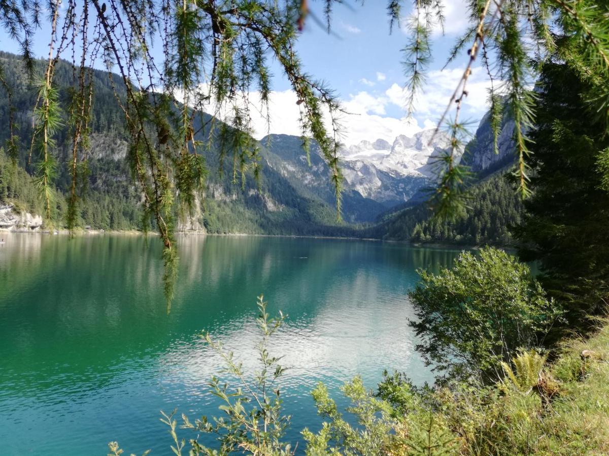 Lammerauhof Abtenau Bagian luar foto