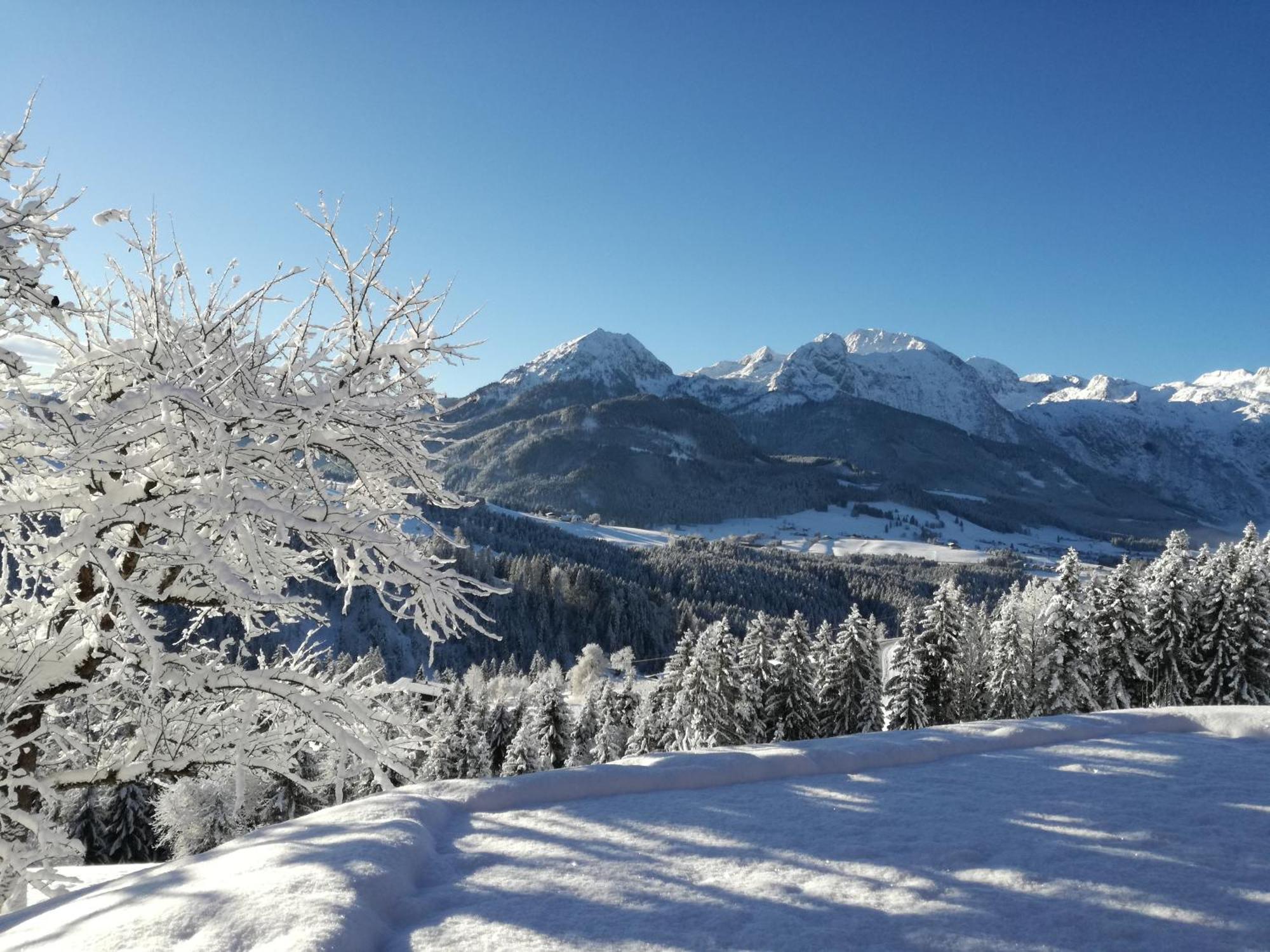 Lammerauhof Abtenau Bagian luar foto