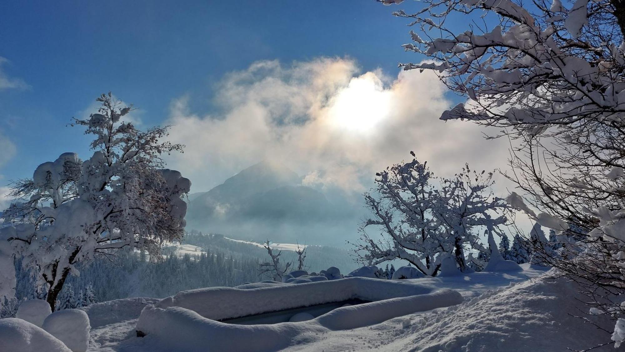 Lammerauhof Abtenau Bagian luar foto